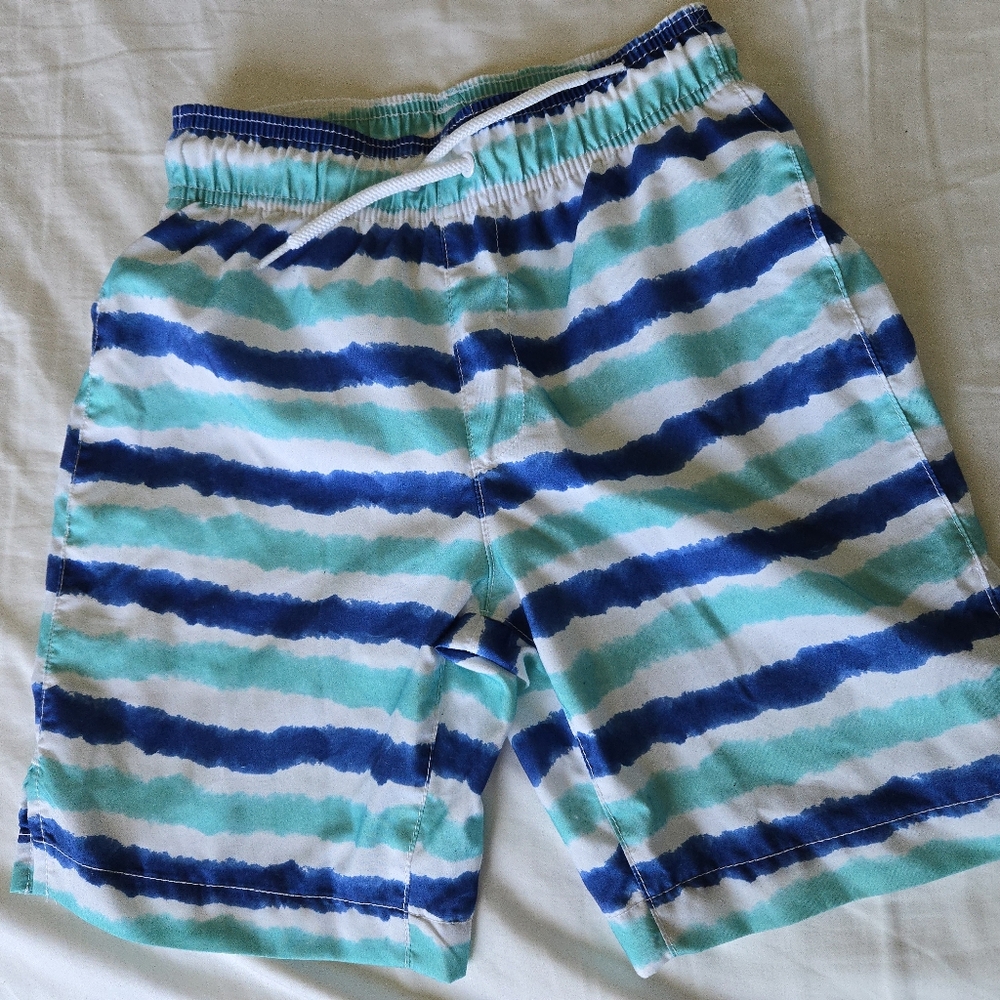 Blue and Green Striped Kids Swim Trunks
